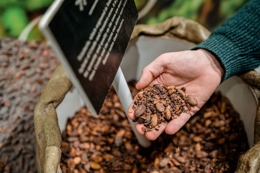 The Sweet City: How York Became Britain's Chocolate Capital