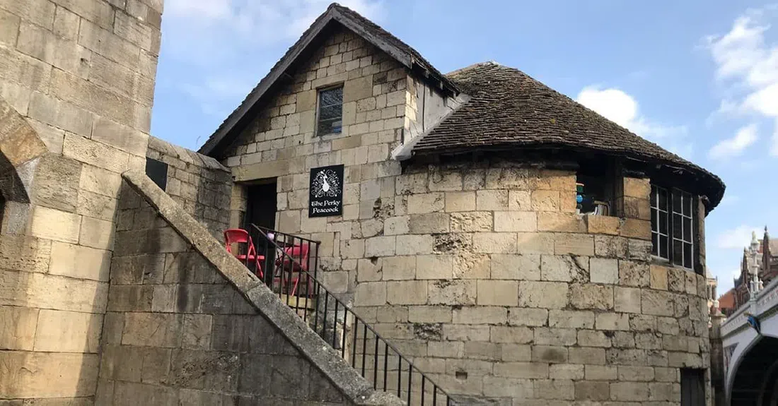 The Perky Peacock, York