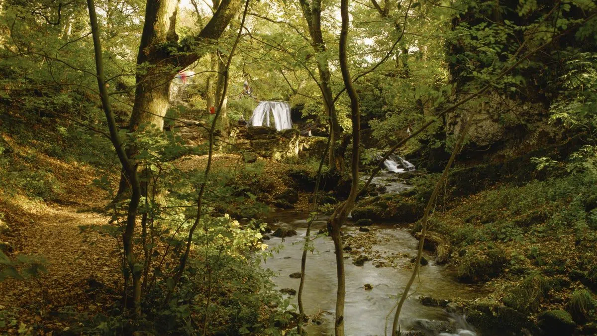 Janet's Foss, Malham, York