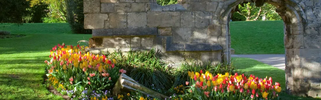 York Museum Gardens, York